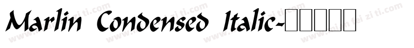 Marlin Condensed Italic字体转换